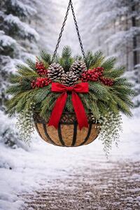 Fri Nov 13 Hanging Basket 261113101